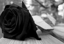 kondolencje, kwiat, róża - powiększ