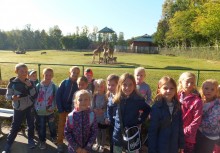 Dzieci z SP w Tuchomiu w oliwskim zoo - powiększ