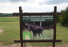 Turnus Mazury - Park Dzikich Zwierząt w Kadzidłowie - powiększ