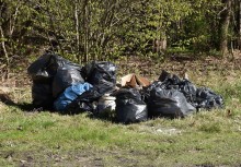 [fot. PZW 82 Gryf Żukowo] Brzegi i koryto rzeki Raduni posprzątane - powiększ