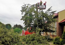 Chora lipa w Borkowie - ścinanie drzewa - strażacy [fot. SP Borkowo] - powiększ