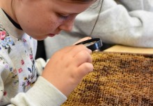 dziewczynka przyglądająca się przez lupę ramce pszczelarskiej - powiększ