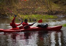 Dwie osoby w dwóch czerwonych kajakach na rzece.  - powiększ