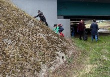 Na zdjęciu cztery osoby podczas sprzątania brzegu rzeki przy moście. - powiększ