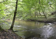 [fot. BBujnowska-Kowalska] Radunia - powiększ