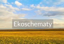 Napis 'Ekoschematy'. W tle pole