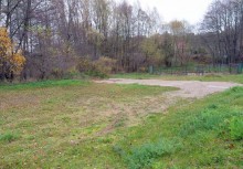 Trawiasty teren, w tle drzewa - powiększ