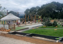 Fotografia przedstawia teren zielony z parasolem po lewej stronie, w oddali widać plac zabaw.