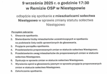 Informacja o Konsultacji statusu sołectwa Niestępowo - powiększ