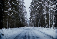Zimowa droga w lesie - powiększ