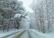 Ulica zimą w lesie
