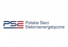 logo Polskich Sieci Elektroenergetycznych - powiększ